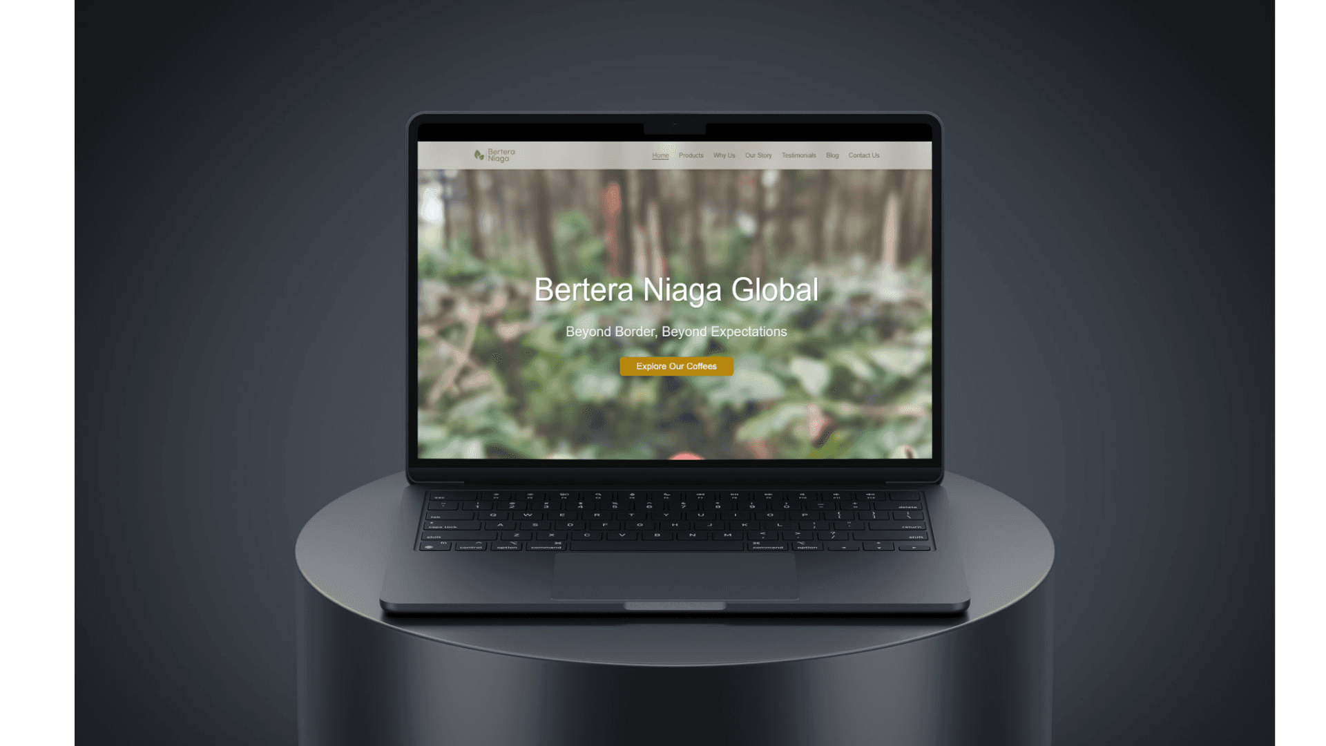 Bertera Company Profile & Catalog